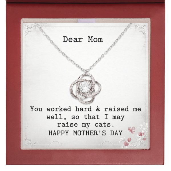 Dear Mom - You Worked Hard & Raised Me Well